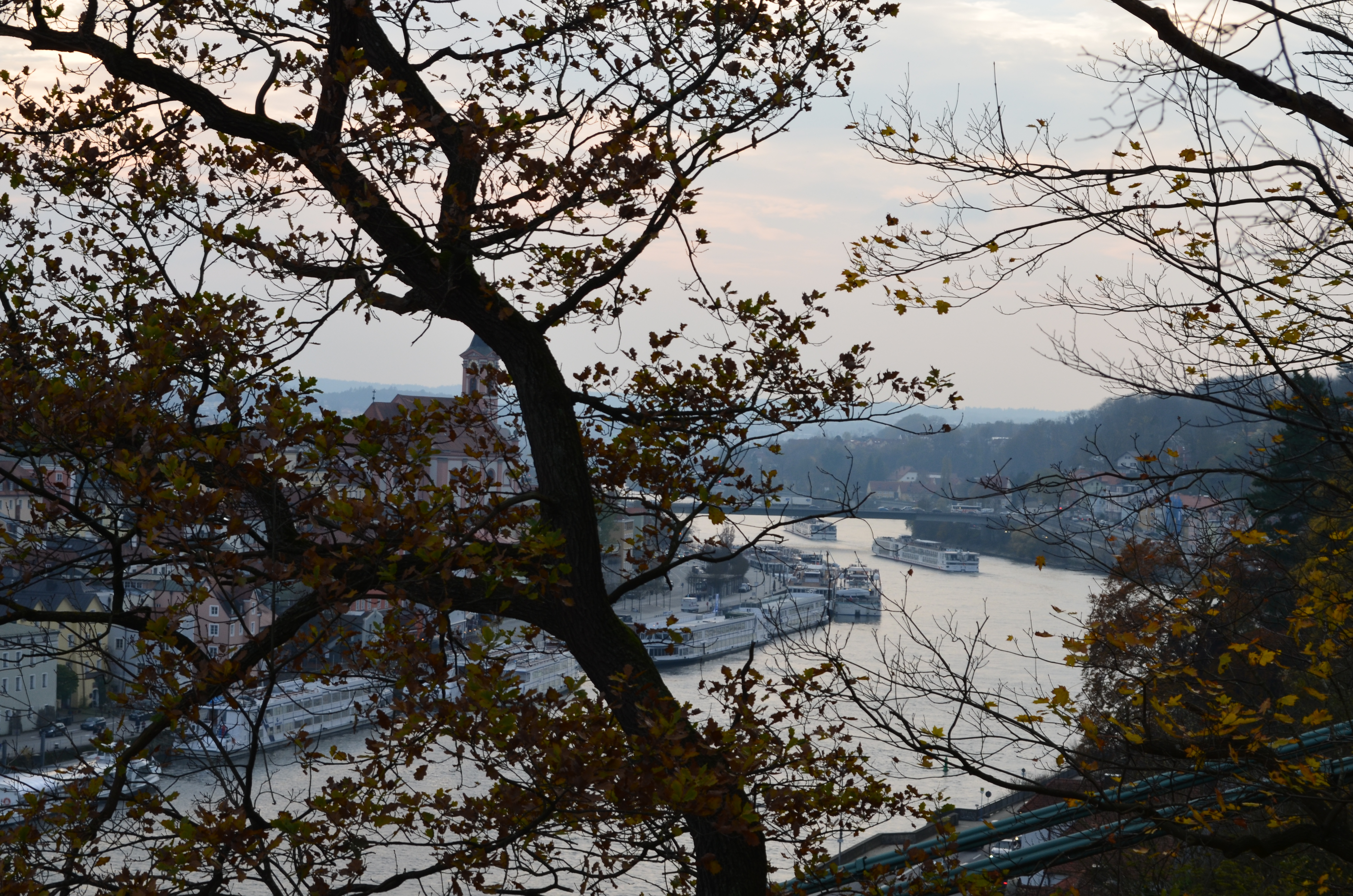 ./2017/19 - Viking Lif/04 - Passau, Germany/DSC_10073.JPG